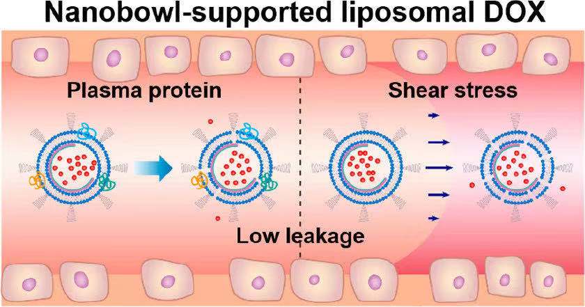 nature教你写论文,怎样快速看懂nature论文