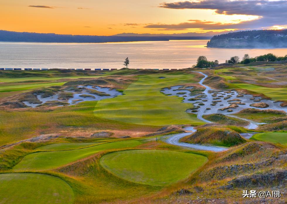 美国圆石滩高尔夫球场,美国高尔夫球场数量