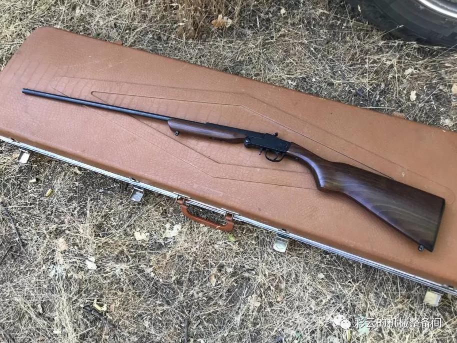 冷门的9mm福楼拜*弹霰**，用撅把单打一发射，专打花园蛇鼠虫