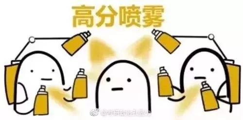 肖四背诵可以只背前两套吗,政治大题除了肖四还需背啥