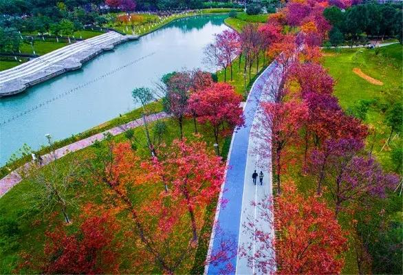 宁波网红游乐推荐,宁波室外十大网红游乐项目