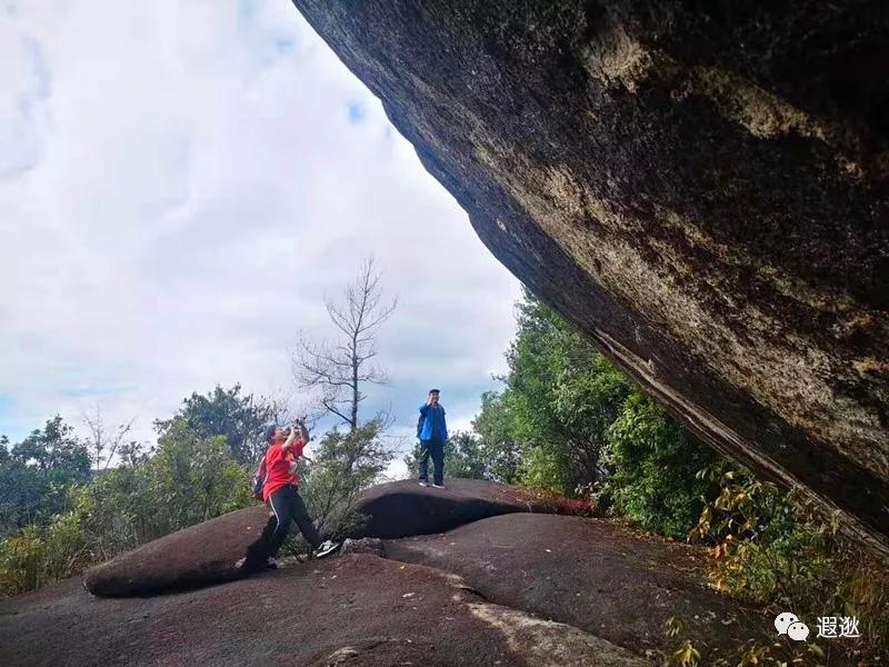 温州居然有这么美的小众景点,温州青龙山风景区在哪里