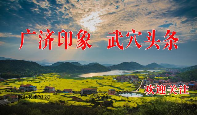 武穴电商扬帆远航,武穴电商网