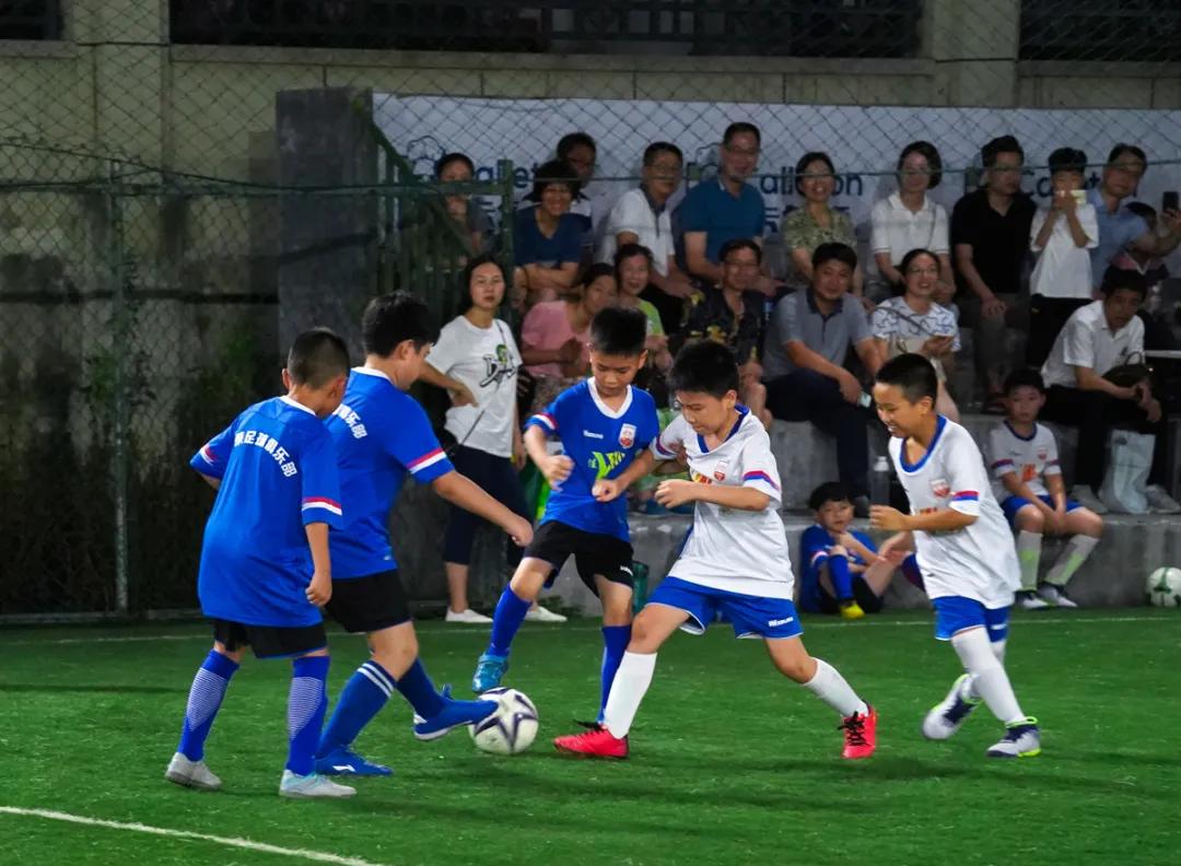 龙文化的传说,龙文章的故事合集