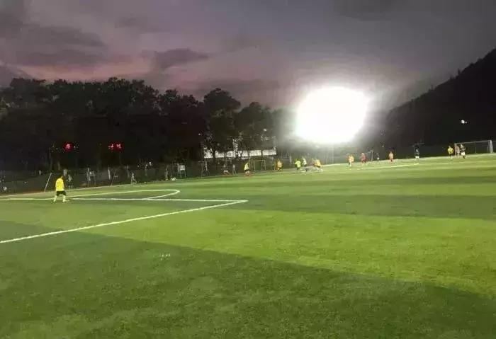 福田花卉世界最新消息,福田花卉世界改造