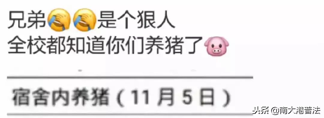大学宿舍养狗什么处分最严重,大学生在宿舍养猪被通报批评