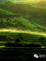 海南五指山牙胡梯田最佳观景台,牙胡梯田风景区游玩项目