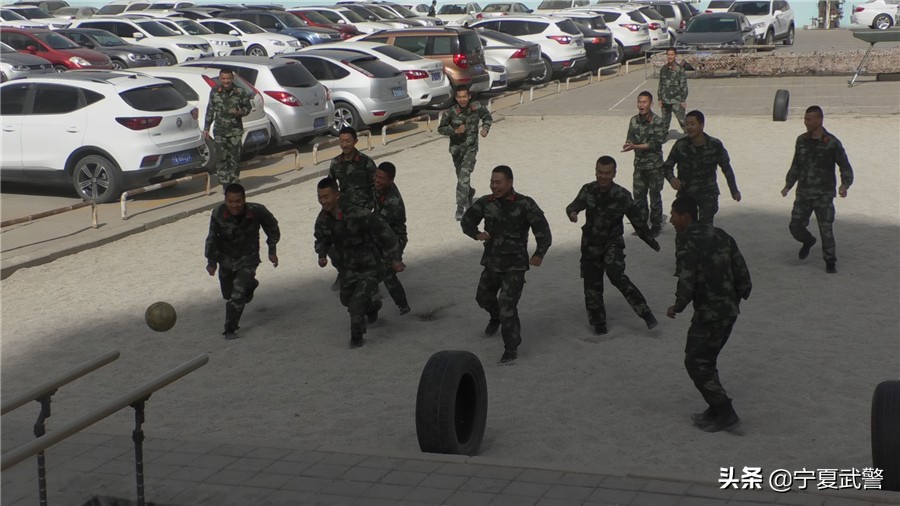 训练要求不严格的表现,训练场地受限怎么说