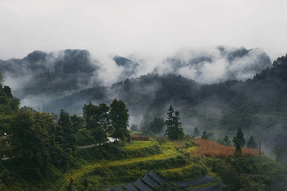 南川石梁桥,重庆南川石梁河桥