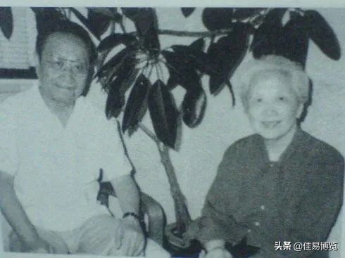 张可风是什么电视剧,张可风的作品