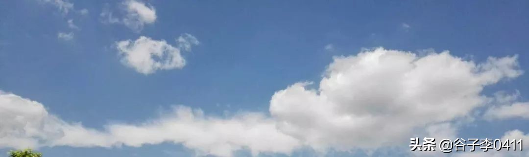 小聂的正确跑法视频,小聂跑法靠谱吗