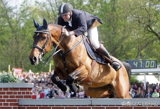 大陆赛马网：2019重庆国际马术挑战赛将于10月25日举办