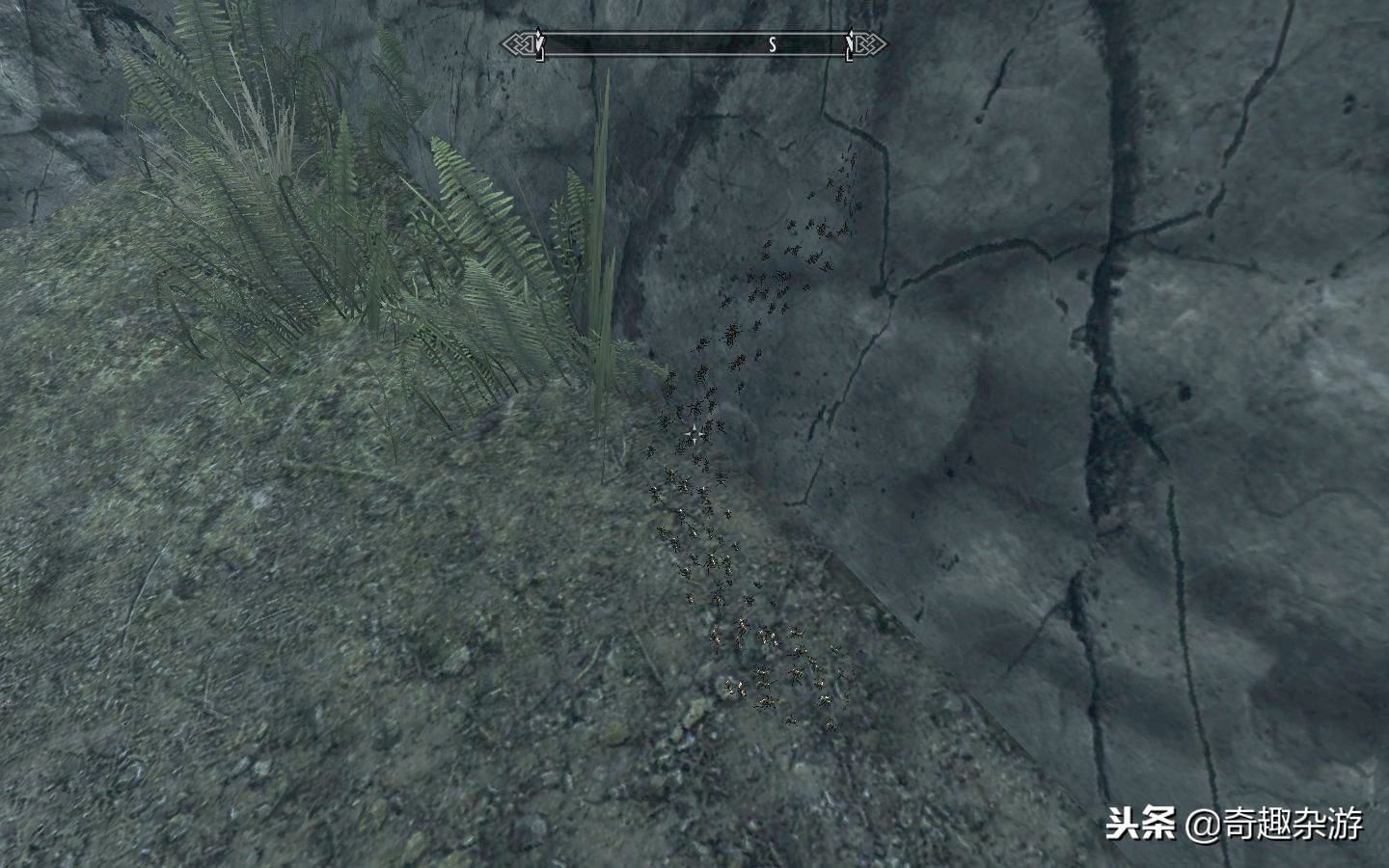 上古卷轴5天际重制版包括几个dlc,上古卷轴5:天际周年纪念版switch