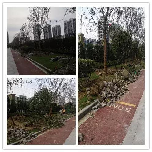 金科城网红,金科城改造