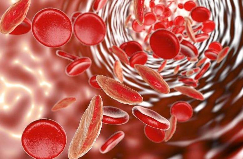 头晕贫血吃什么药最见效,贫血导致头晕乏力怎么办