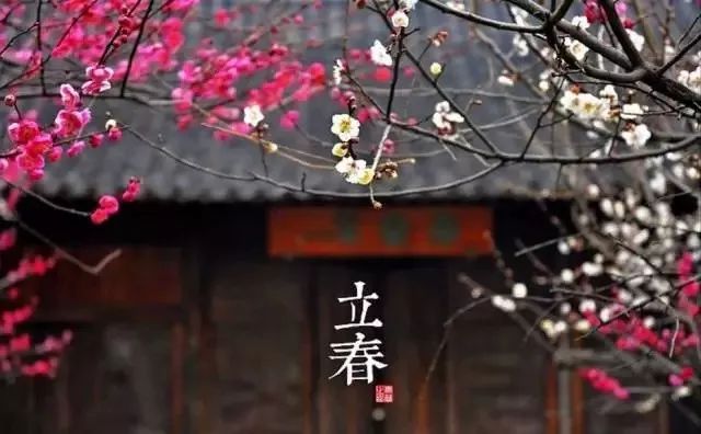 24节气适合喝什么茶,一年最热的节气宜喝什么茶