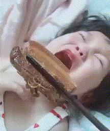 搞笑动图gif狗,搞笑动图gif赵本山