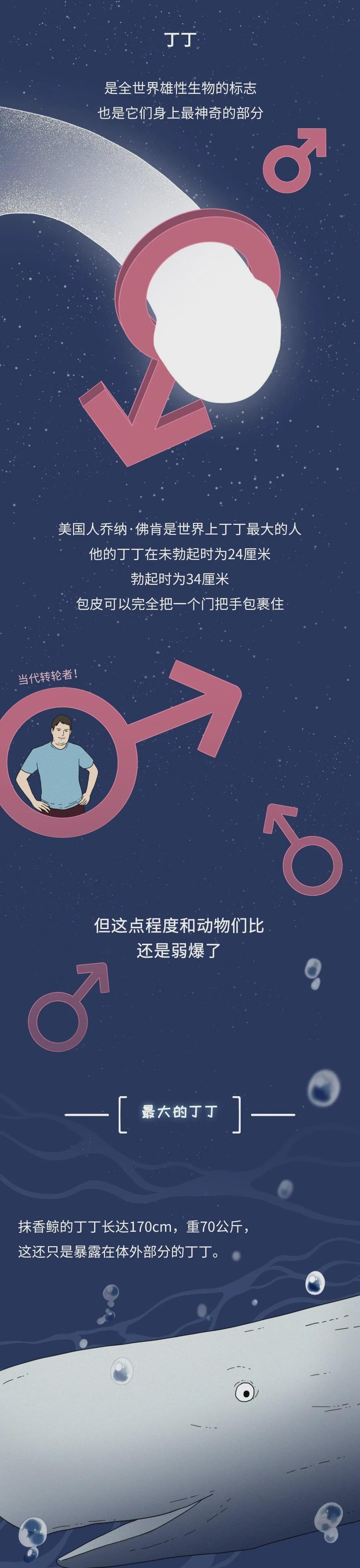 为什么同样是丁丁,差距却这么大?34cm竟然排垫底