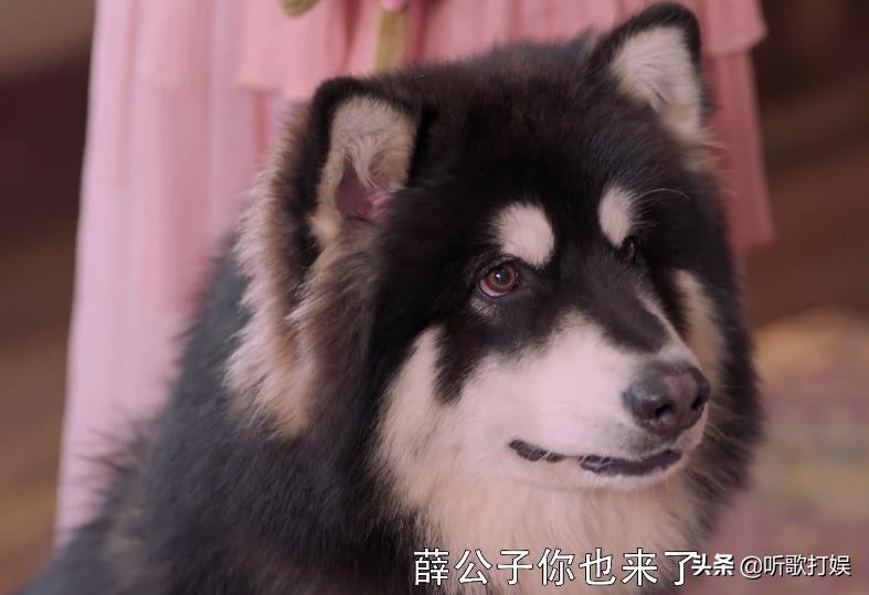 从前有座灵剑山王陆和王舞相拥,从前有座灵剑山王陆和王舞后续