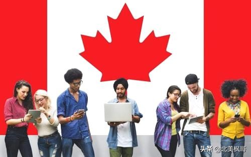 怎么和美国税务局打交道 (加拿大税务局工作出差多吗)