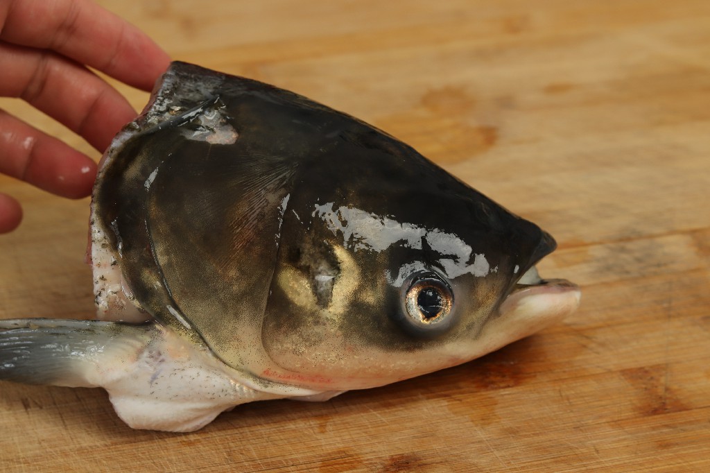 为什么煮鱼汤冷水不白,炖鱼汤为什么是白汤呢