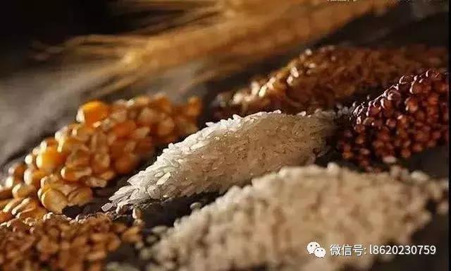 冒着严寒做酒的辛酸，只有酿酒工的才知道！