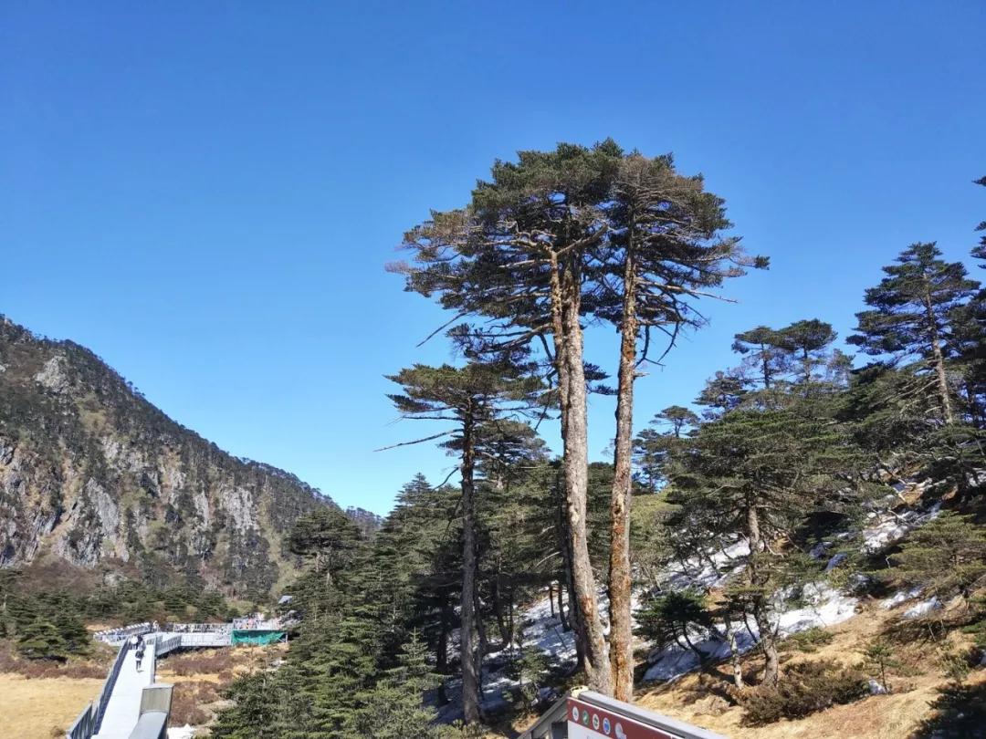 等疫情结束了和我一起去旅游吧,等疫情结束了我就带你去玩