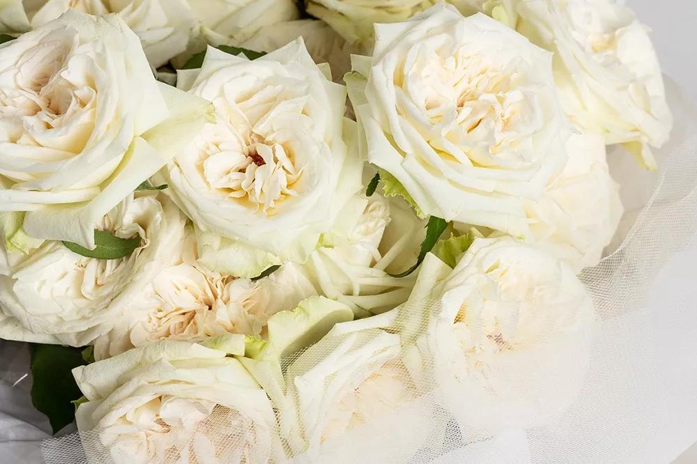 花店常用玫瑰花品种大全,一篇文章带你认识三亚40种花