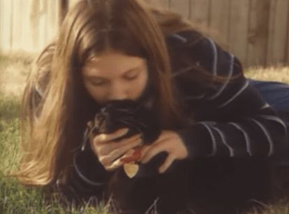 多次挑衅让猫气急败坏，然后说猫没良心，这样的人也配养猫？