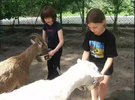 儿童农场建立,给孩子打造农场