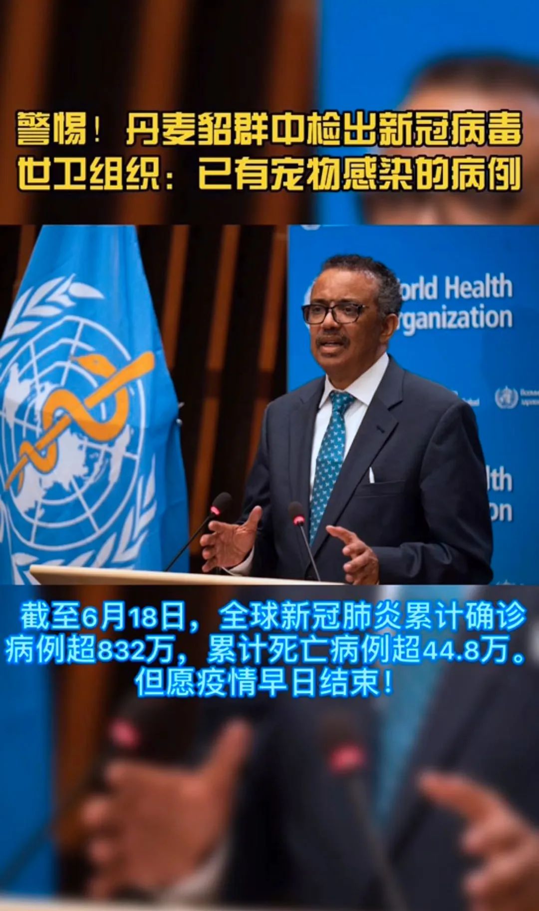 丹麦共发现5种貂类变异新冠病毒,丹麦在养殖貂体内发现新冠病毒