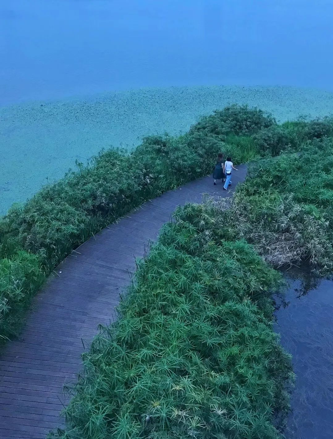 成都哪里的绿道最好,成都绿道最好的地方