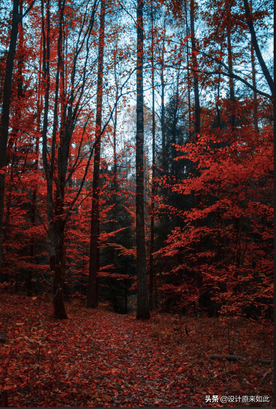 你真的了解木纹漆吗,你真正了解ros吗