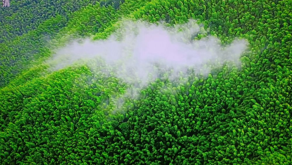 风邪致病要用哪些药物,风邪的特征和治疗方法