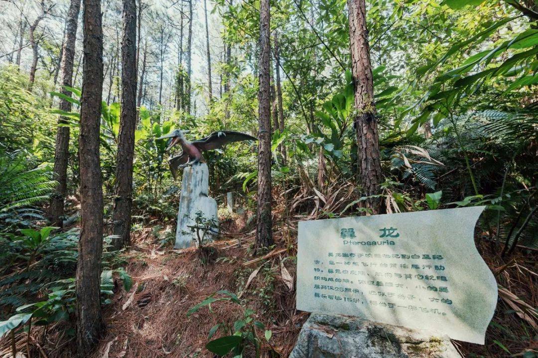 森波拉温泉度假村两天一夜游,倒数跨年狂欢夜