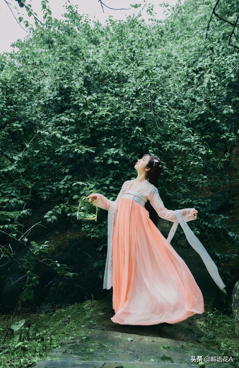 李时珍故事带来的启示,李时珍有哪些故事20字