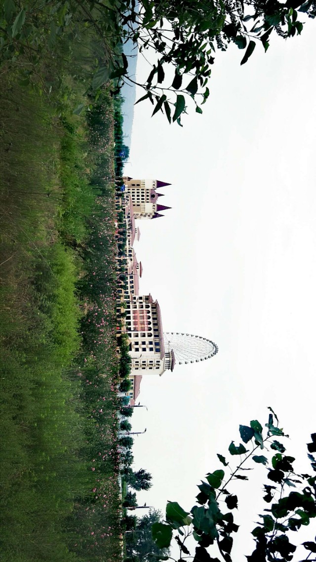 濞佹捣鑾辫尩灏忛晣,澶╂触鑾辫尩灏忛晣