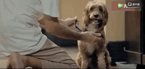 谢谢你治好了我的心脏,谢谢你治好了我的低血压