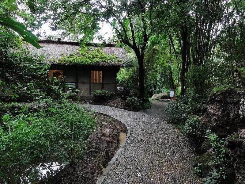 经典之声荷岚诵读白落梅古典散文诗《茅檐低小，溪上青青草》