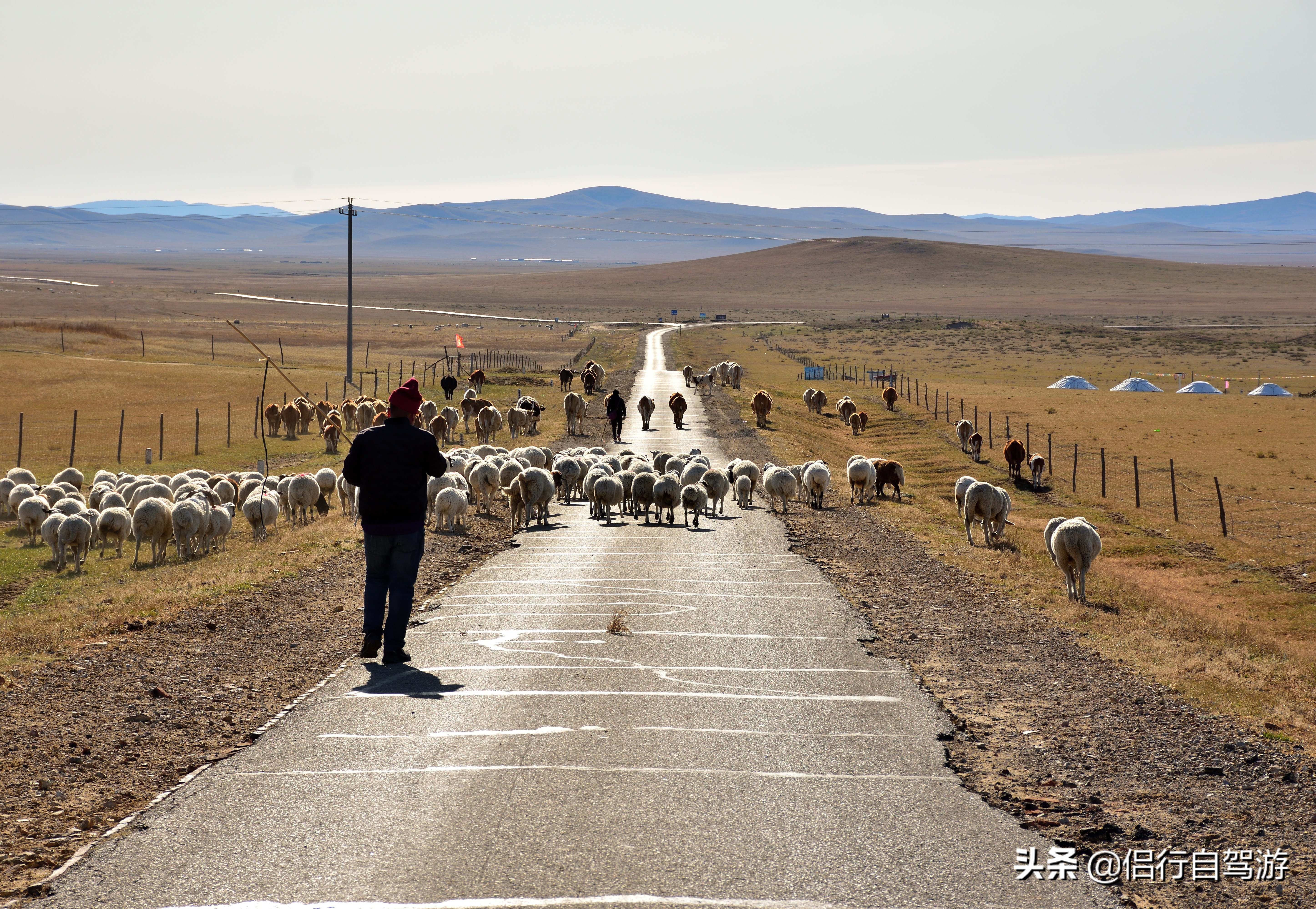 西乌旗景观大道,两条景观大道
