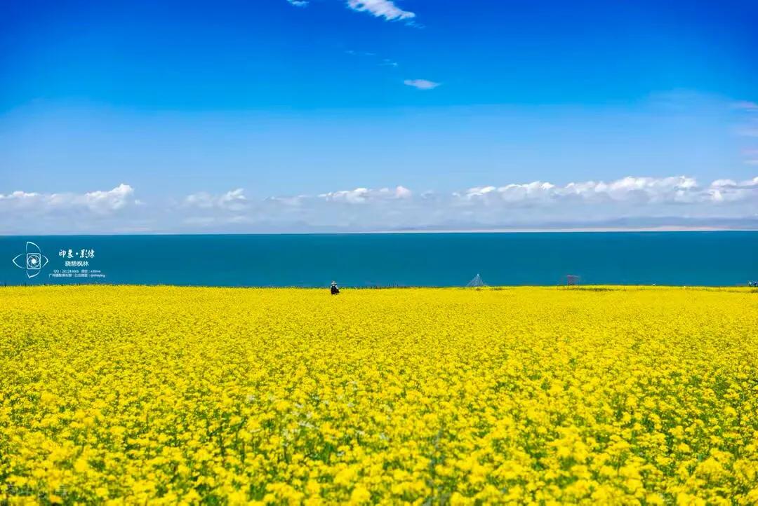 董卿遇见朗读者开场白bgm,董卿朗读者开场白经典语录合集