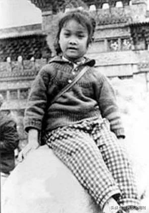 那英选秀,那英参加选秀节目