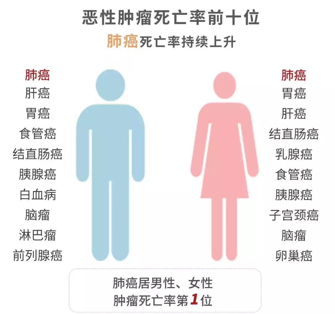 中华烟一年纳税多少钱,中华烟的成本和税收