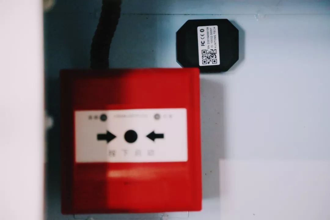 在江夏，我遇见了青松