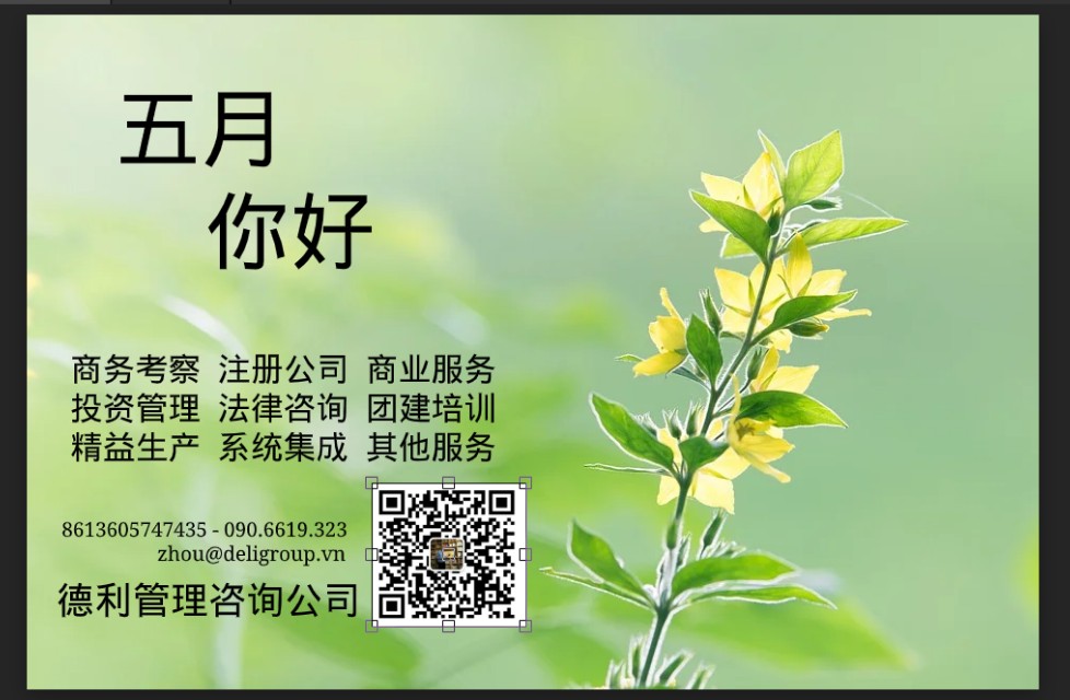 越南第三方支付平台联系方式,越南18家支付平台