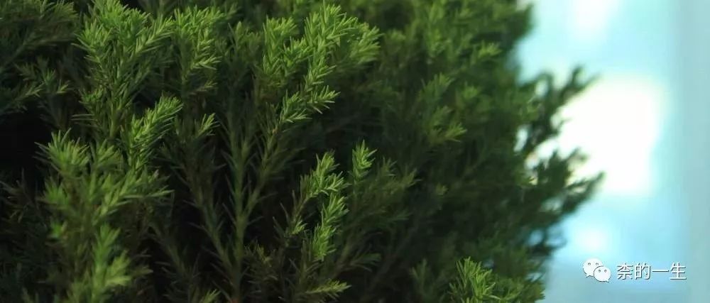 周末去美容店给自己做个护肤,自己在家护肤与去美容院