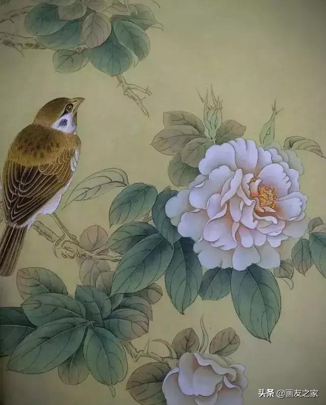 陈松岩工笔白描画全集,陈松岩工笔国画