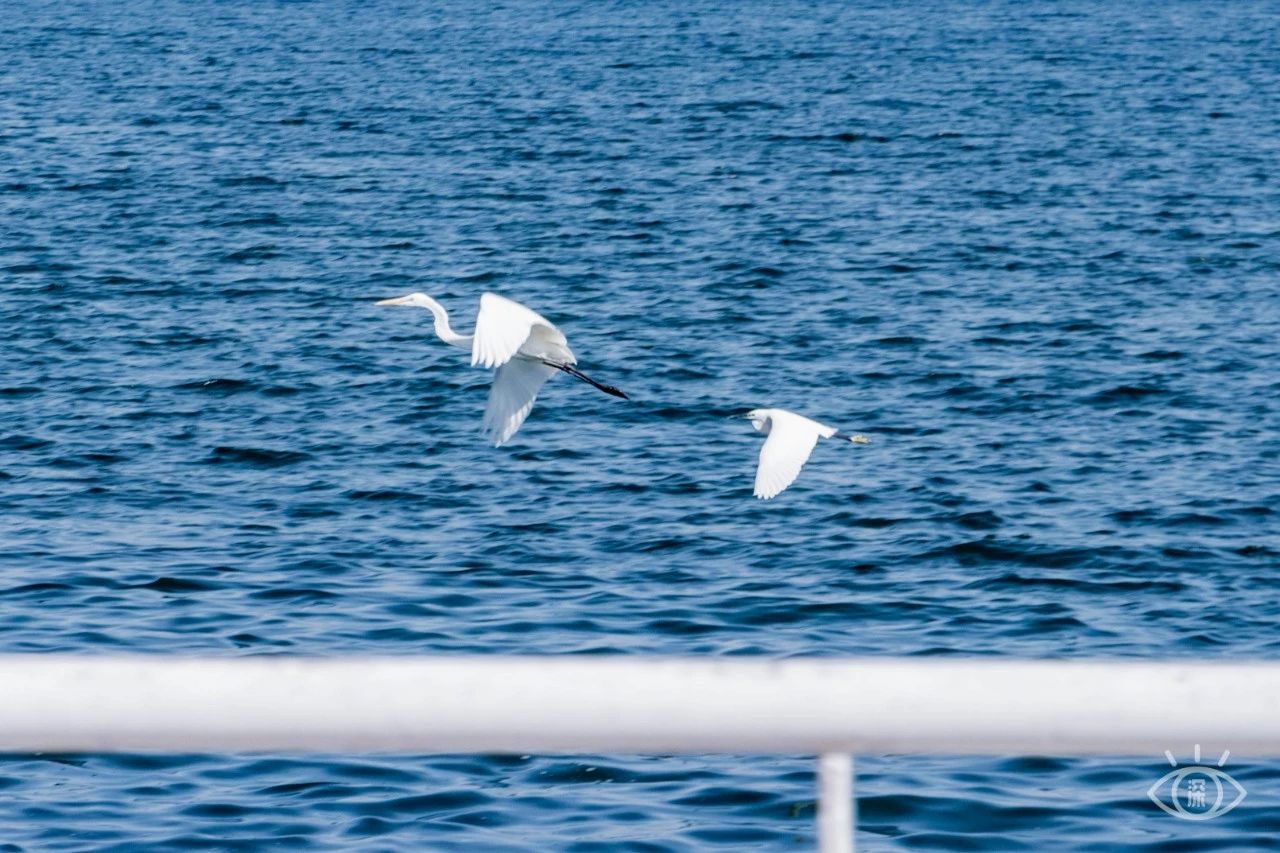 深圳绝美小岛景点介绍,深圳有哪些绝美的海景
