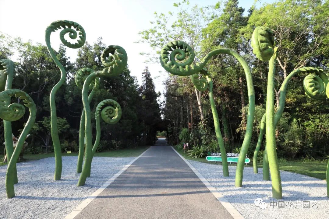 探访花博会的神奇植物,探访第十届花博会的神奇植物