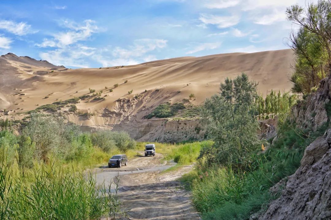 茫崖艾肯泉夏季游攻略,青甘大环线艾肯泉
